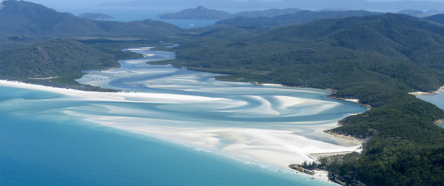 Specialist Visa Services