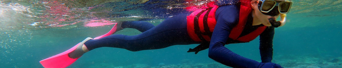 Working Holiday Visas